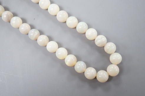 A modern single strand white opal bead necklace, with 585 yellow metal clasp, 44cm.